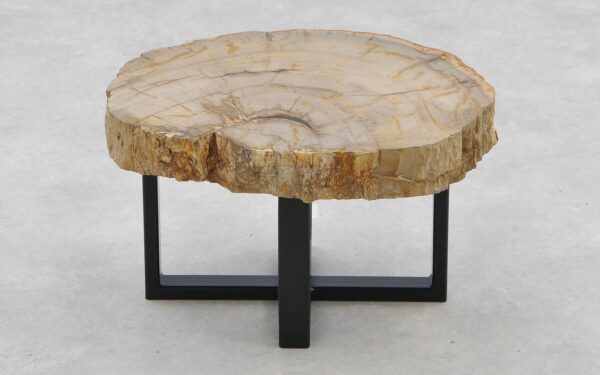 Coffee table petrified wood 40208