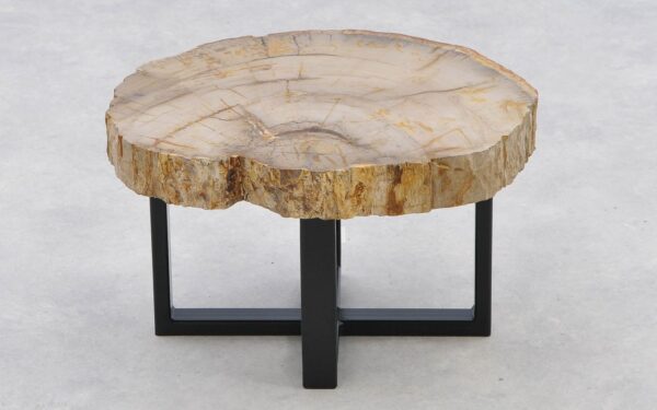 Coffee table petrified wood 40209