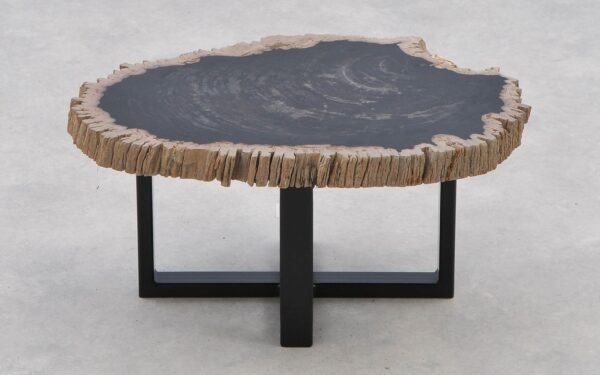 Coffee table petrified wood 40229
