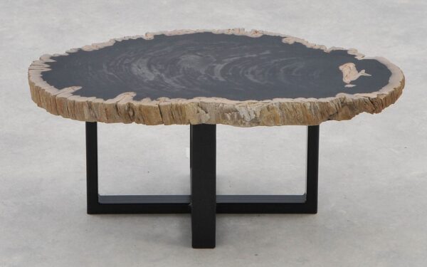 Coffee table petrified wood 40232