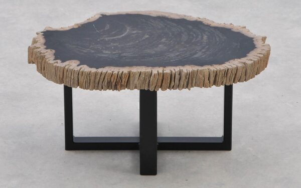 Coffee table petrified wood 40235