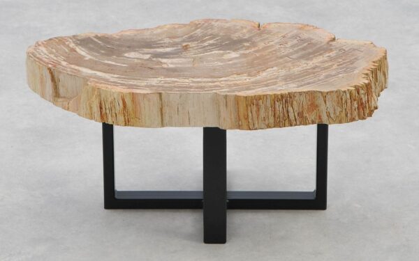 Coffee table petrified wood 40244