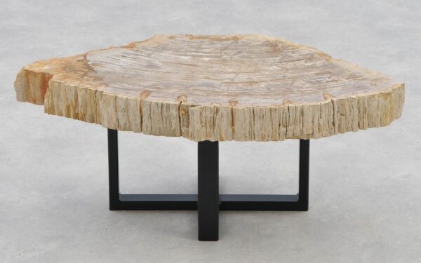 Coffee table petrified wood 40245