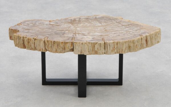 Coffee table petrified wood 40248