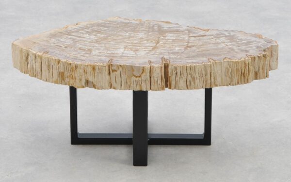 Coffee table petrified wood 40249