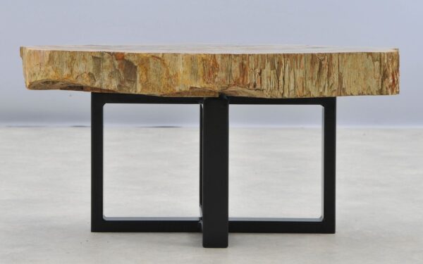 Coffee table petrified wood 40251