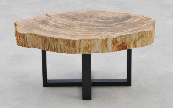 Coffee table petrified wood 40252