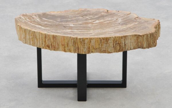 Coffee table petrified wood 40254