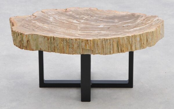 Coffee table petrified wood 40255