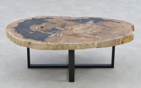 Coffee table petrified wood 40271