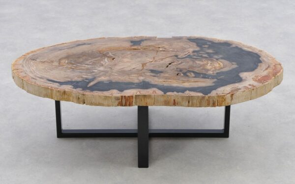 Coffee table petrified wood 40272
