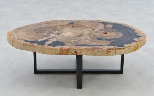 Coffee table petrified wood 40273