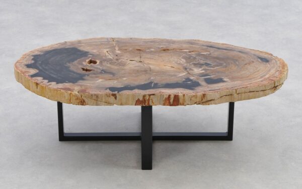 Coffee table petrified wood 40274