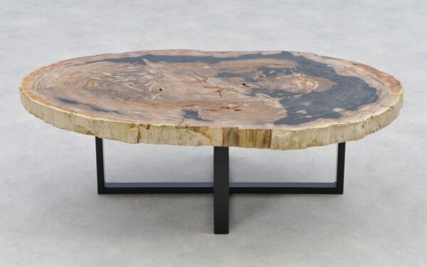 Coffee table petrified wood 40275