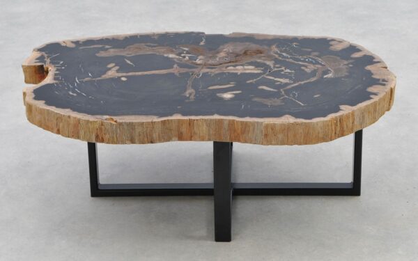 Coffee table petrified wood 40276