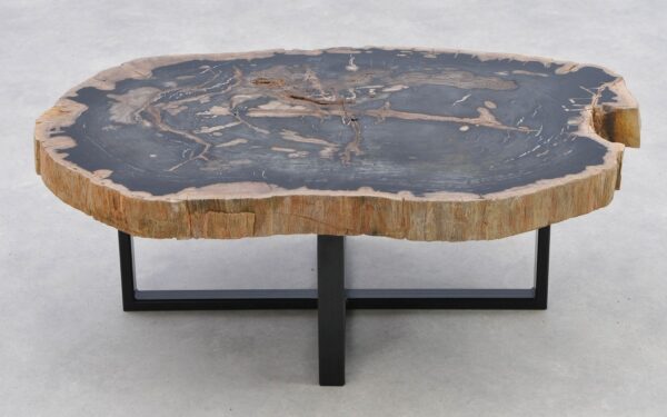 Coffee table petrified wood 40277