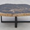 Coffee table petrified wood 40278