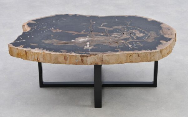 Coffee table petrified wood 40278
