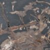 Coffee table petrified wood 40278