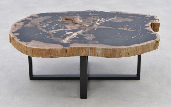 Coffee table petrified wood 40279