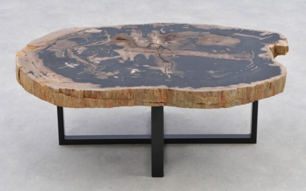 Coffee table petrified wood 40280