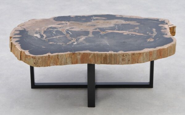 Coffee table petrified wood 40282
