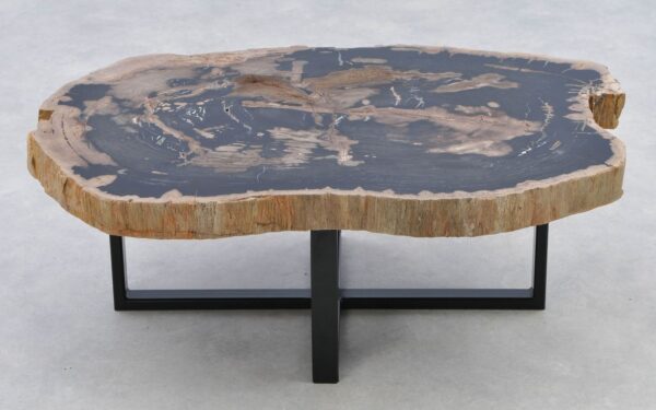 Coffee table petrified wood 40283