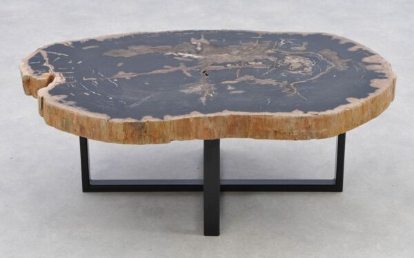 Coffee table petrified wood 40284