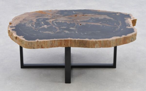 Coffee table petrified wood 40286