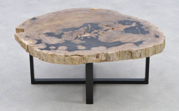 Coffee table petrified wood 40287