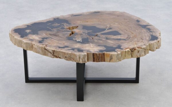 Coffee table petrified wood 40290