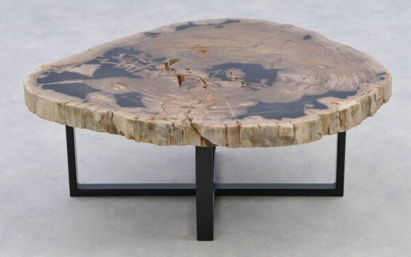 Coffee table petrified wood 40291