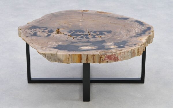 Coffee table petrified wood 40293