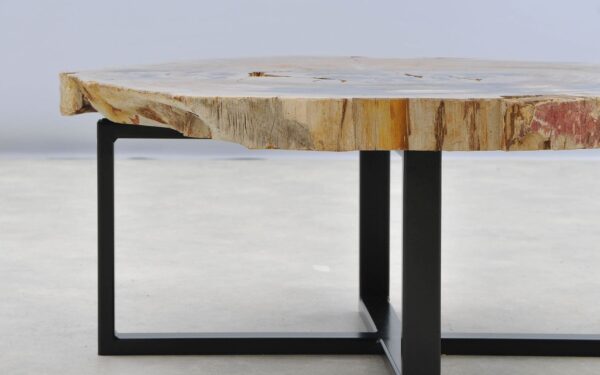 Coffee table petrified wood 40293