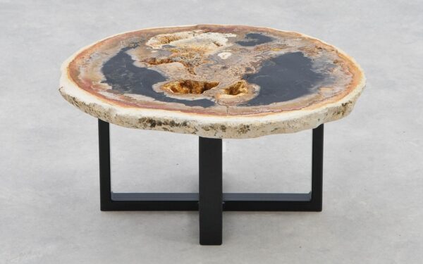 Coffee table petrified wood 40295