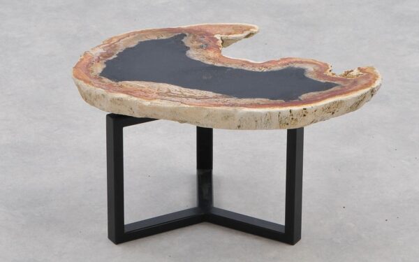 Coffee table petrified wood 40317
