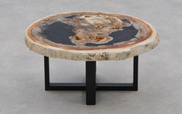 Coffee table petrified wood 40319