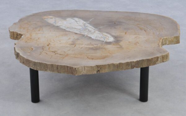 Salontafel versteend hout 39174