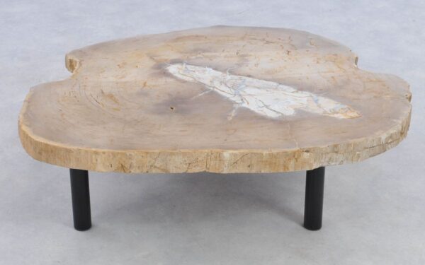 Salontafel versteend hout 39174