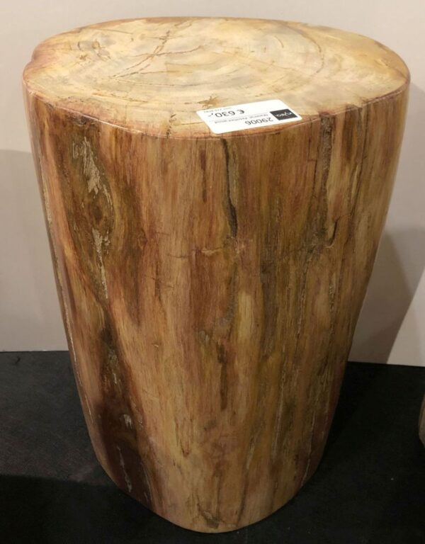 Side table petrified wood 29006