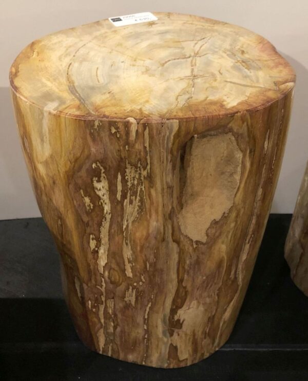 Side table petrified wood 29006