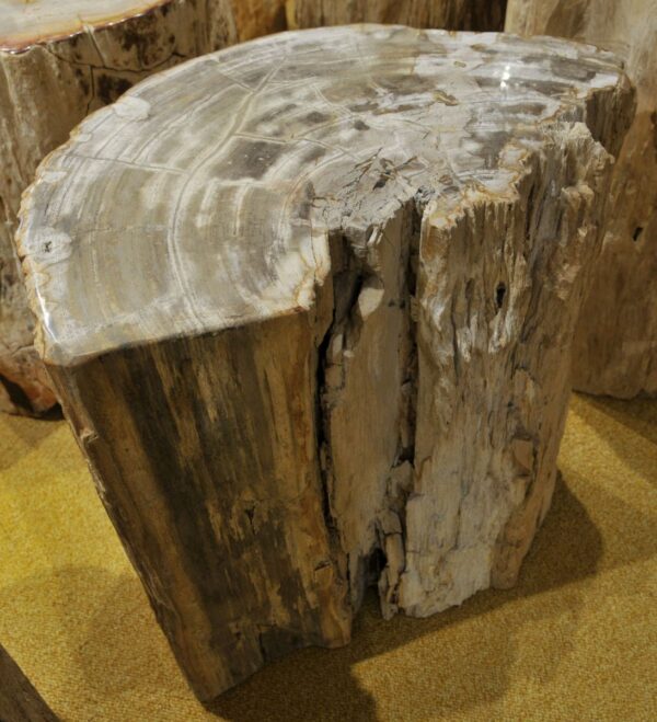Bijzettafel versteend hout 15118