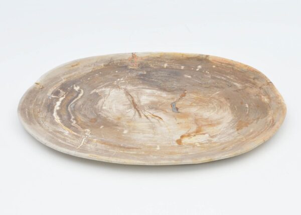 Assiette bois pétrifié 40039c
