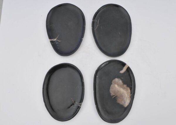Assiette bois pétrifié 40042c