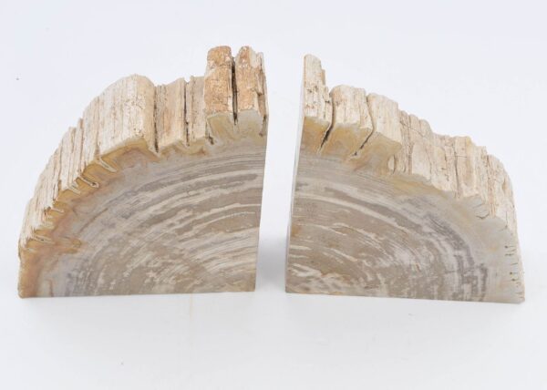 Bookends petrified wood 40299