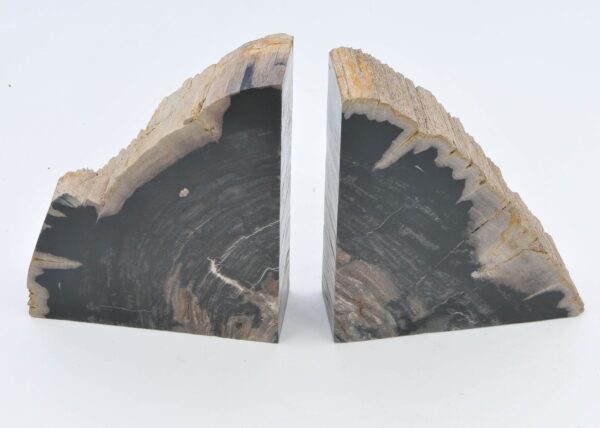 Bookends petrified wood 40306