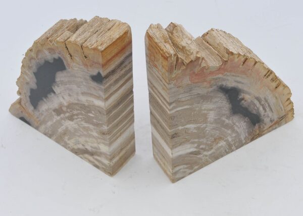 Bookends petrified wood 40309