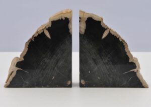 Bookends petrified wood 40311
