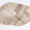 Bord versteend hout 33004d