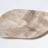 Bord versteend hout 33004d